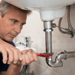 Plumbing and Health: Bathroom Mold and Mildew Prevention