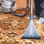 The Northern Beaches Pet Owners’ Carpet Cleaning Guide